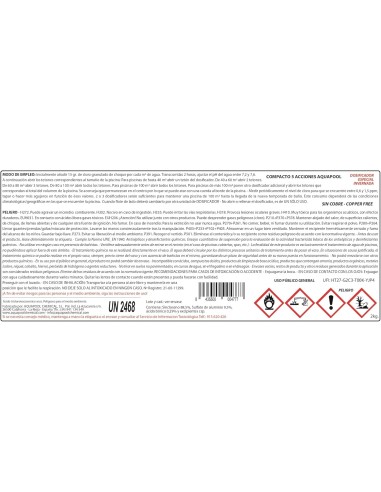 COMPACTO 5 ACCIONES AQUAPOOL (200 gr)