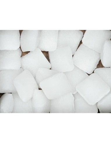 PASTISAL "SAL TIPO PASTILLAS" (POLASAL)