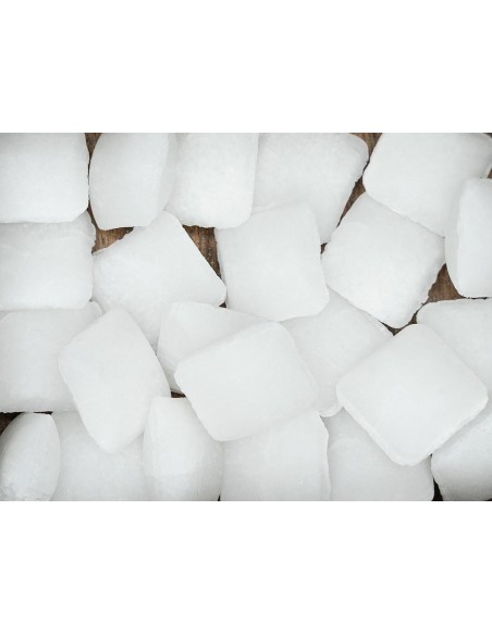 PASTISAL "SAL TIPO PASTILLAS" (POLASAL)