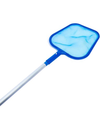 RECOGEHOJAS CON PERTIGA TELESCOPICA