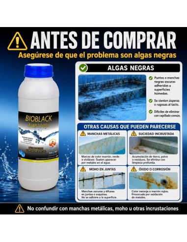 BIOBLACK AVANT POOL